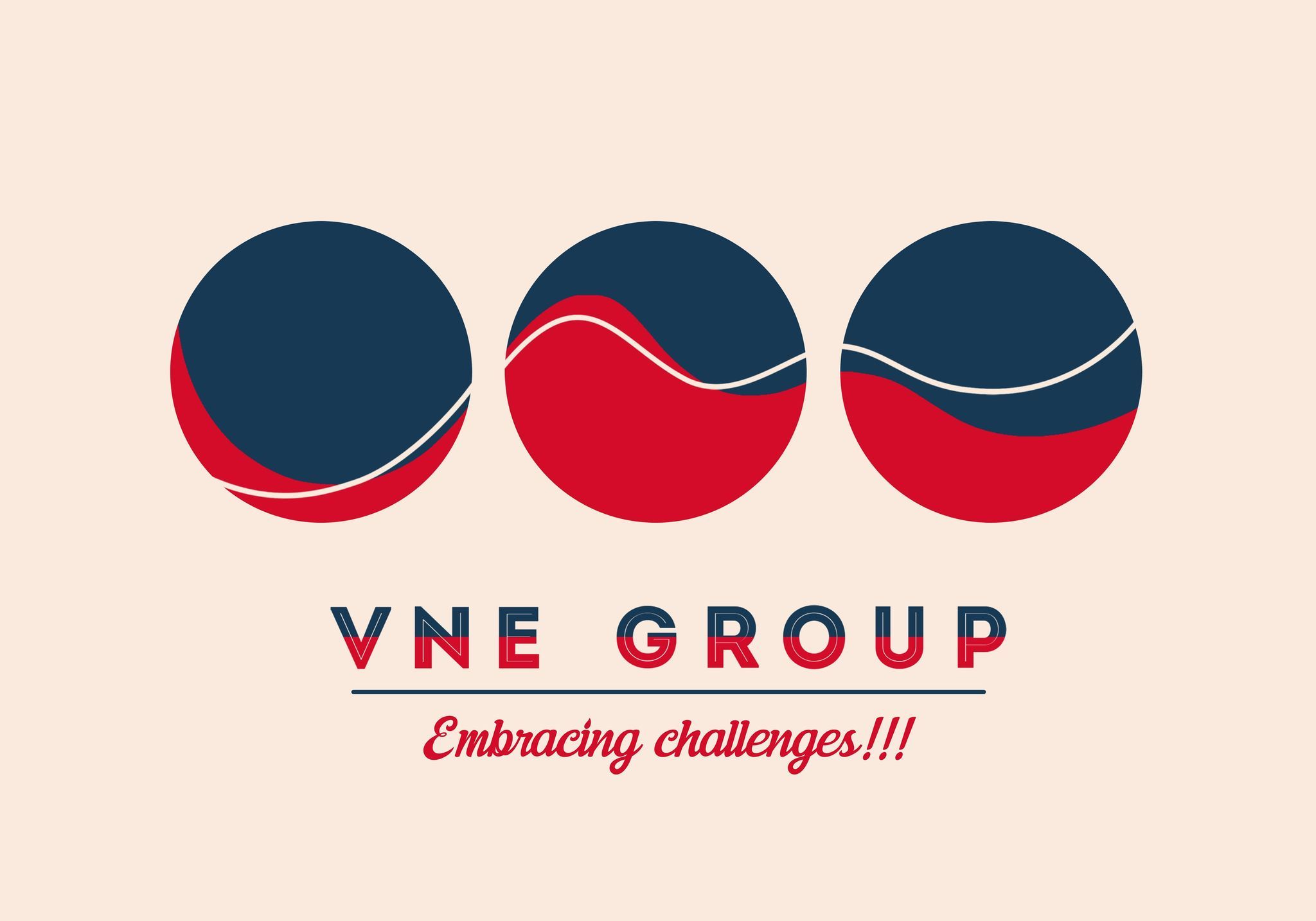 Logo VNE HOME